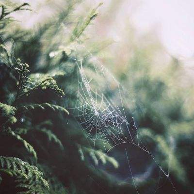 腾讯分分下载手机版