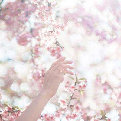 大四喜下载手机版